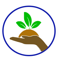 Objective 3